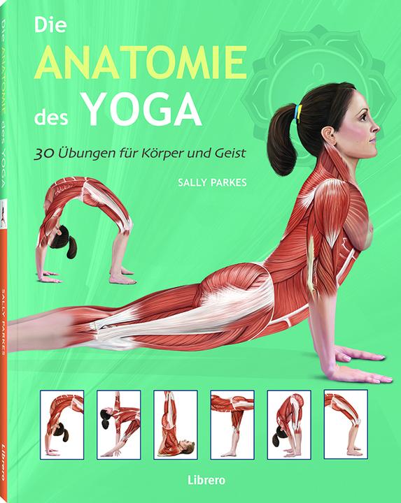 Produktbild Die Anatomie des Yoga (Deutsch, Sally Parkes, 2016)