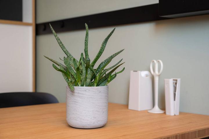 Image du produit Pottery Pots Charlie XL (32 cm)