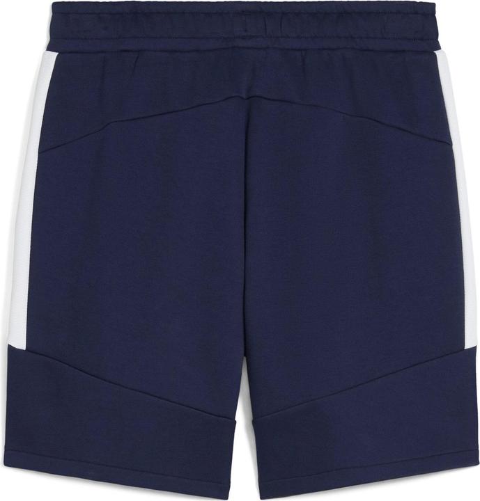 Actual product image Puma teamEVOSTRIPE Shorts (3XL)