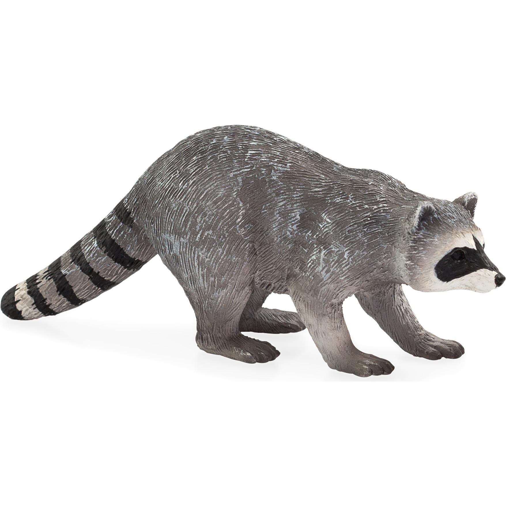 Animal Planet Waschbär