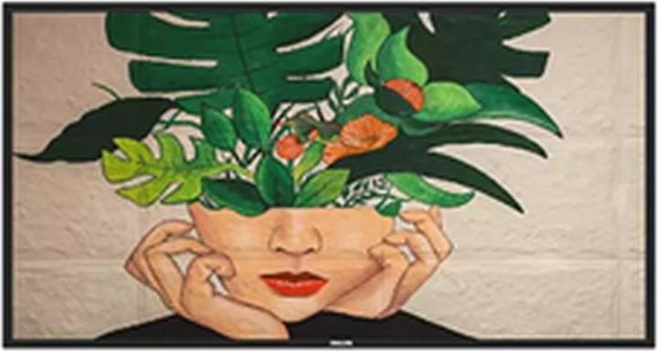 Image du produit Philips 50BDL4511D - 50 classe diagonale (49.5 visible) - D-Line led-achtergrondverlichting lcd-scherm - d (3840 x 2160 pixels, 50")