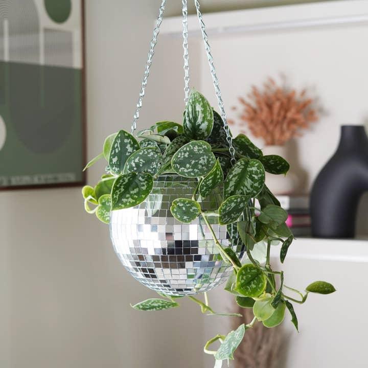 Image du produit Mags Fleurs disco