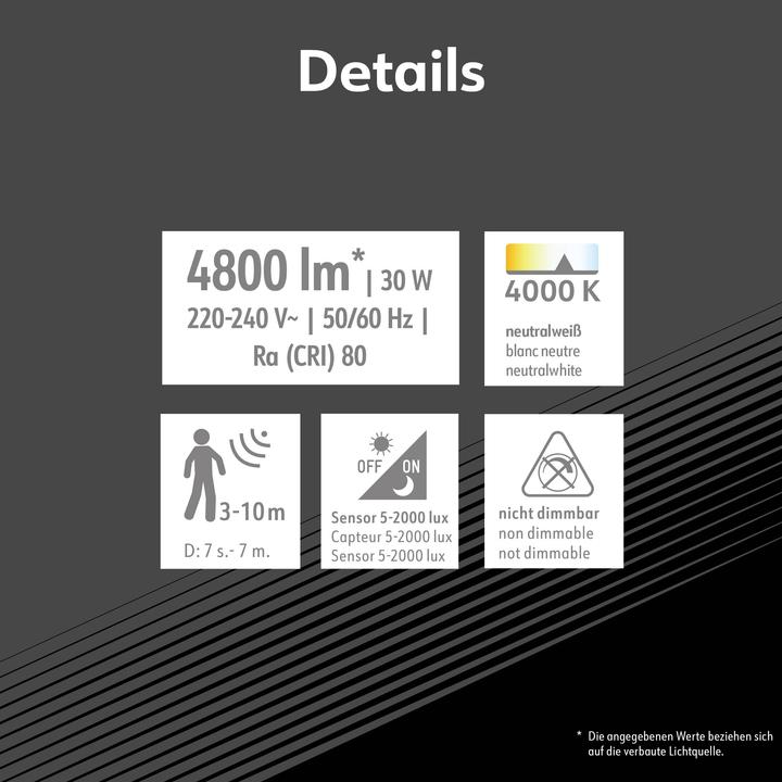 Image du produit Müller Licht Müller-Licht Miami 21600064 LED-Aussenstrahler 30 W Neutralweiss (4800 lm, IP44)