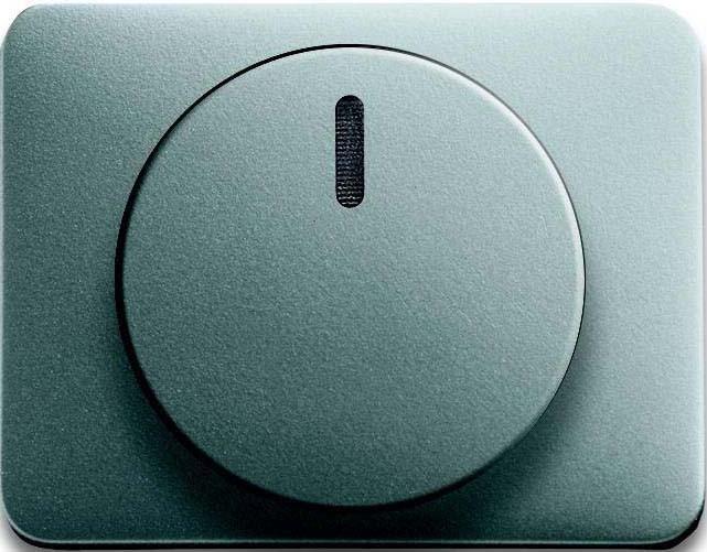 Produktbild Busch-Jaeger Zentralscheibe