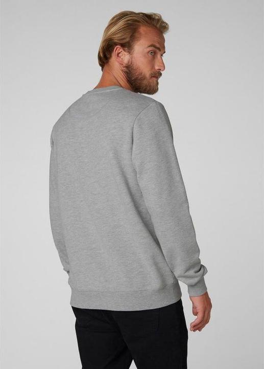 Actual product image Helly Hansen HH Logo (XL)