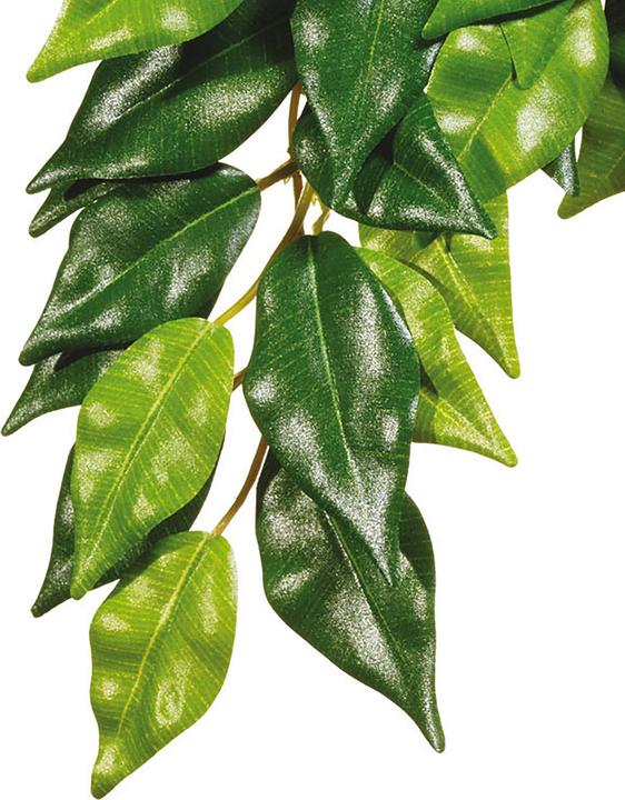 Exo Terra Jungle Plant Fikus