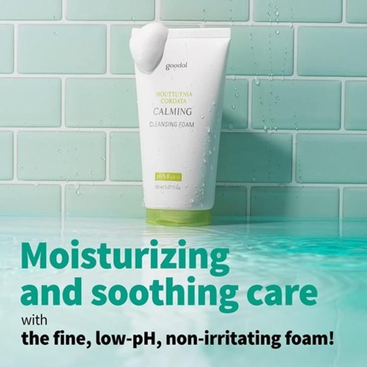 Actual product image Goodal Houttuynia Cordata Calming ph Balancing Cleansing Foam (Cleansing Foam, 150 ml)