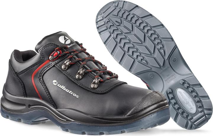 Albatros Gravitation Low