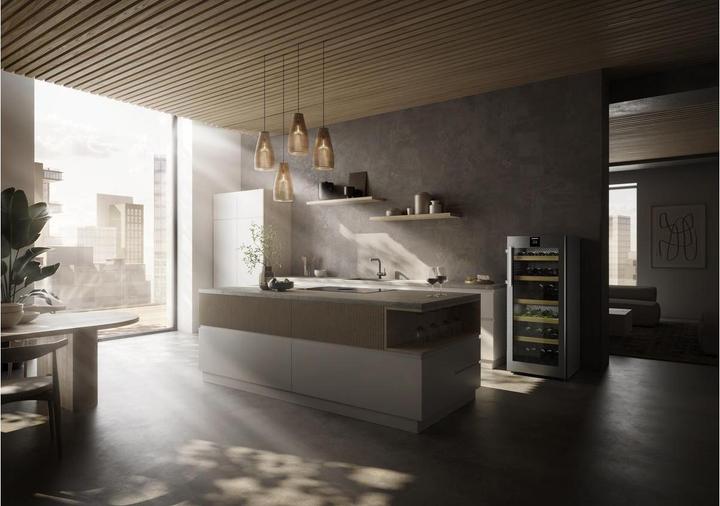 Image du produit Liebherr WPsd4652-20 Vinidor