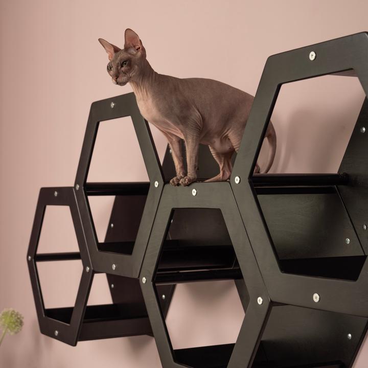 Produktbild Wowhelperco 4 Waben (Schwarz)