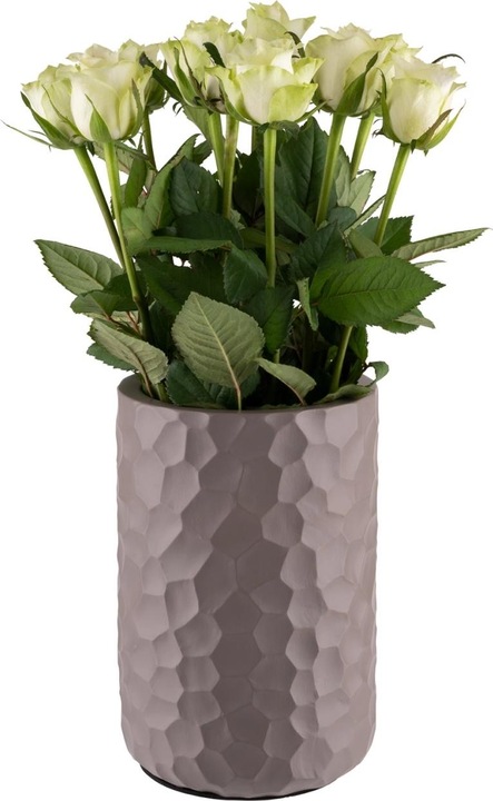 Produktbild APS Flaschenkühler "ELEMENT"