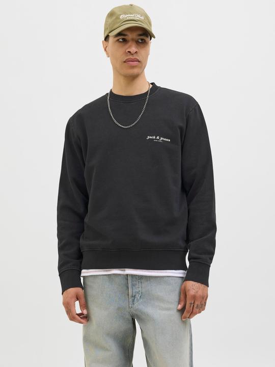 Produktbild Jack & Jones Jjedover Print Sweat Crew Neck (M)