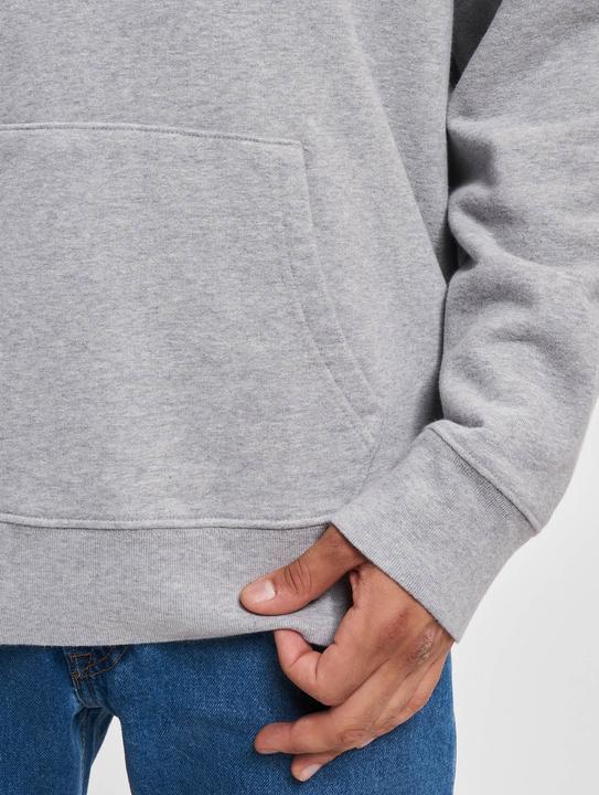 Image du produit Levis Sweat à capuche graphique standard - 86895 (L)