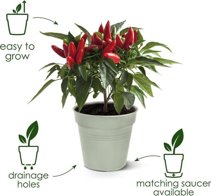 Actual product image Elho Green Basics Growing Pot