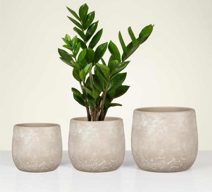 Produktbild Scheurich Dune (19 x 17 cm)