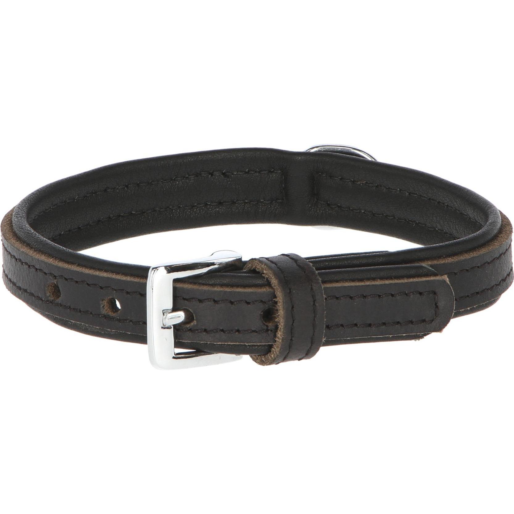 Kerbl VEGAS HQ schwarz 20mm 32 cm (Hund, Allgemein), Halsband + Leine