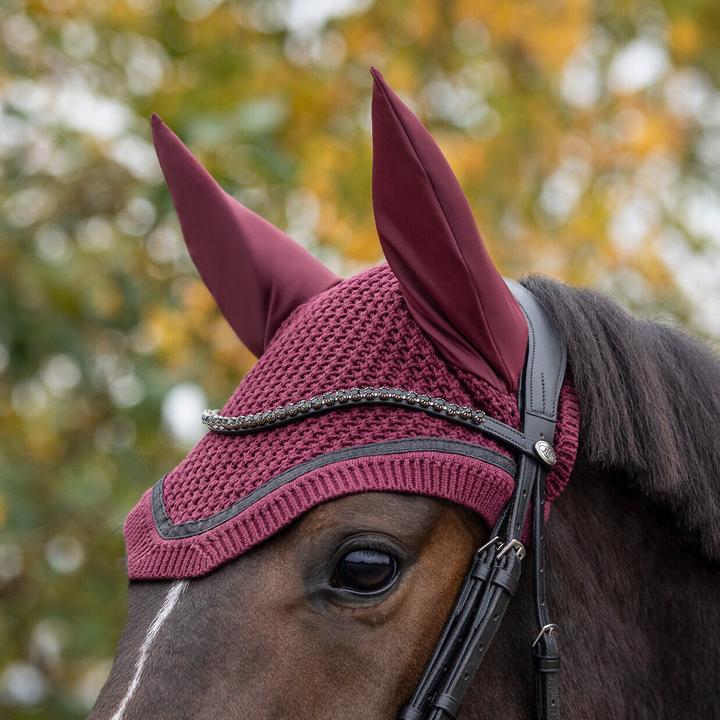 Actual product image Qhp Zahra