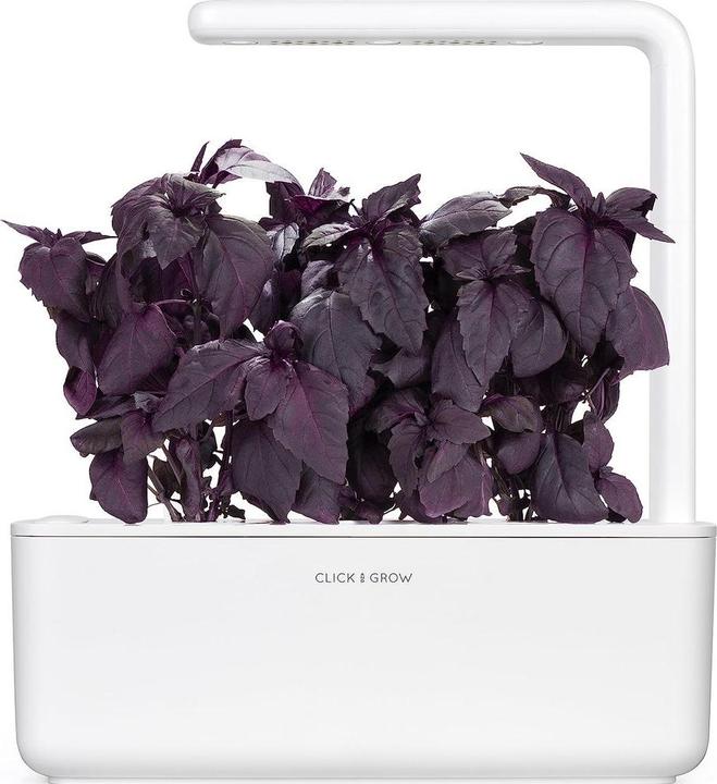 Image du produit Click and Grow Basilic rouge (Graines d'herbes aromatiques)