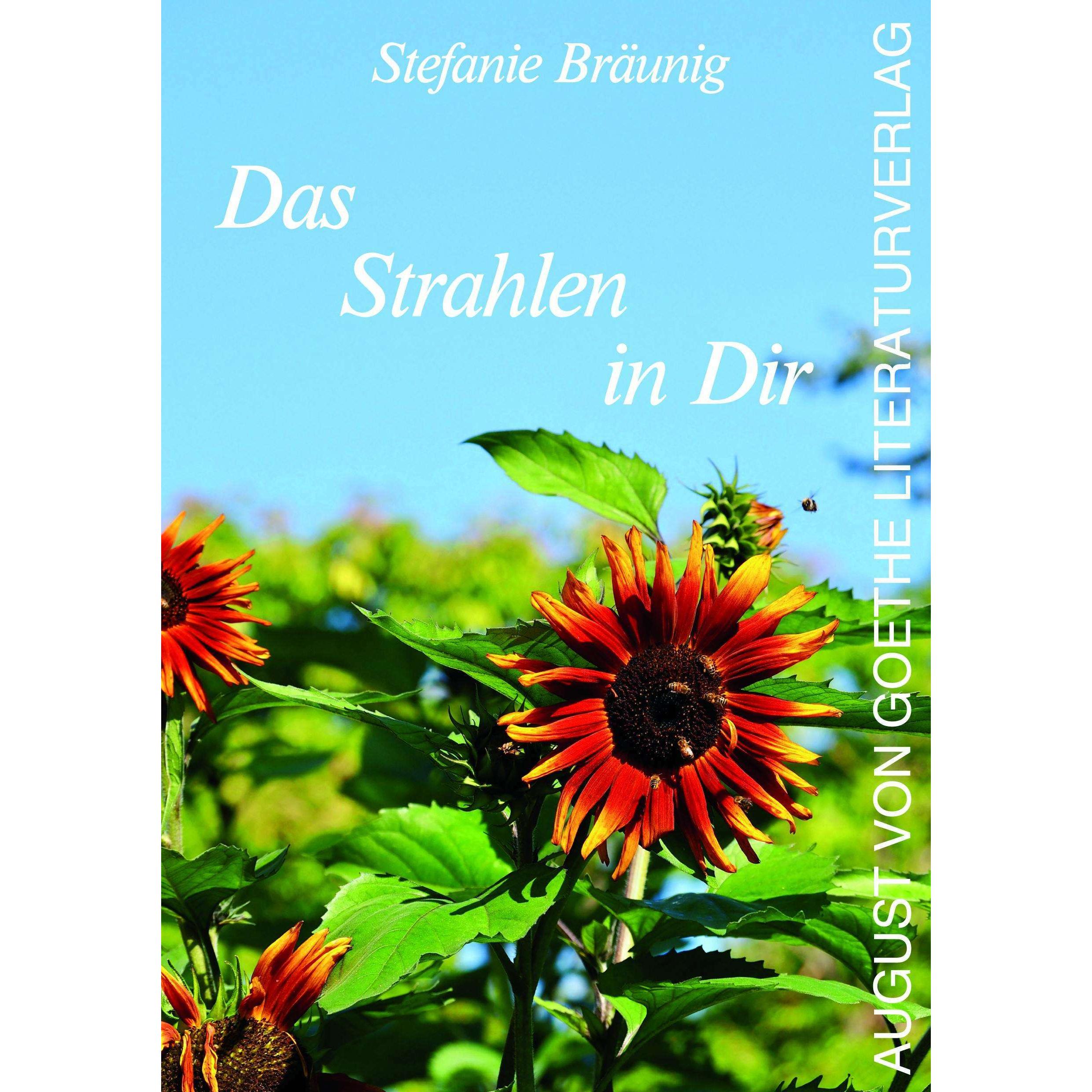 Das Strahlen in dir, Belletristik von Stefanie Bräunig