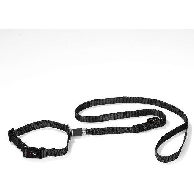 Conrad Components GoLeyGo Leine Halsband Grösse (L, Hund), Halsband + Leine