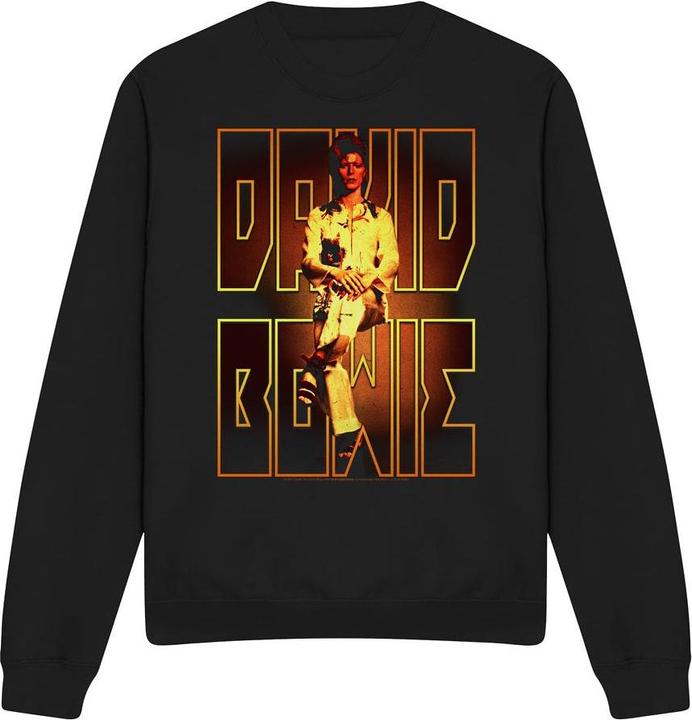 Immagine prodotto David Bowie Perched Felpa Adulto Unisex (L)