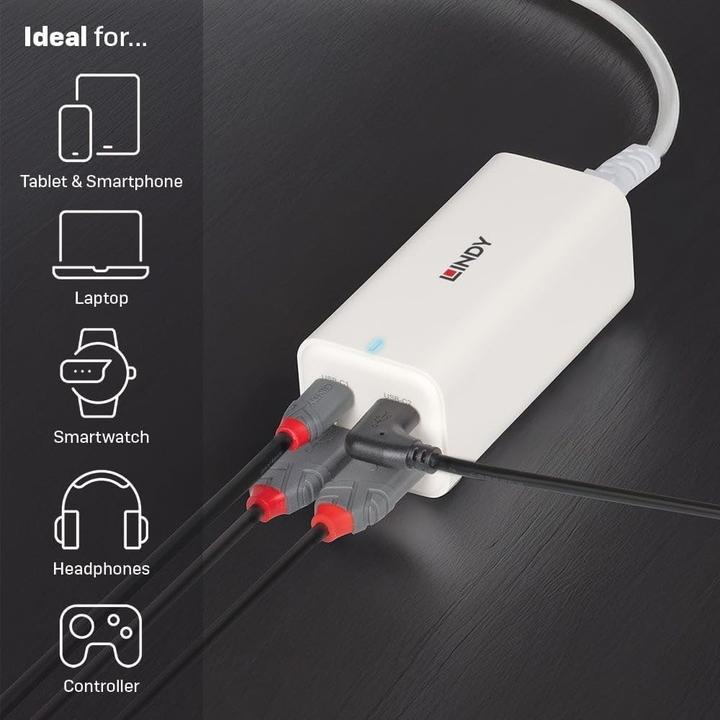 Produktbild Lindy 100W 4-Port USB Type A & C (100 W, 4 Ports)