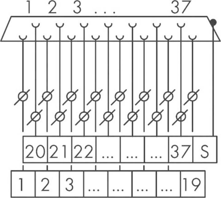Actual product image Wago Transfer module D-SUB sockets