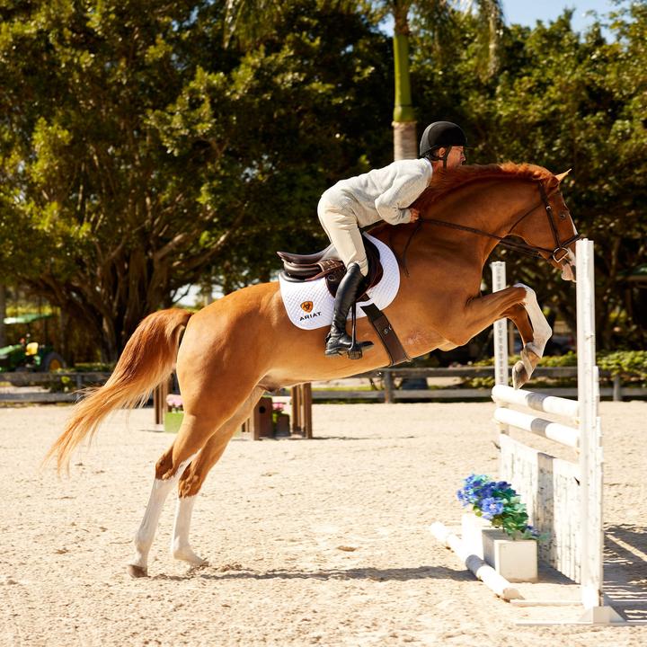 Produktbild Ariat Devon (44)