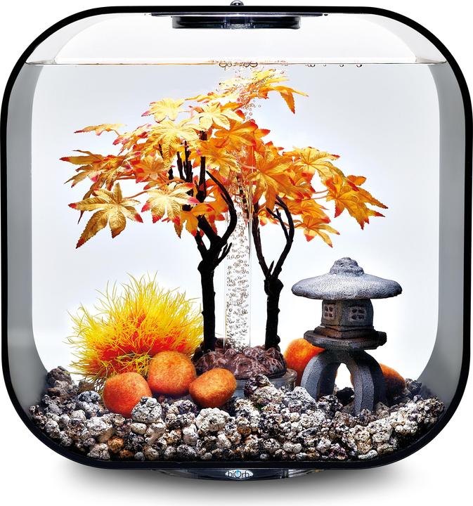 Actual product image Oase 55027 Aquarium decoration 30 l (Embellishment, other buildings)