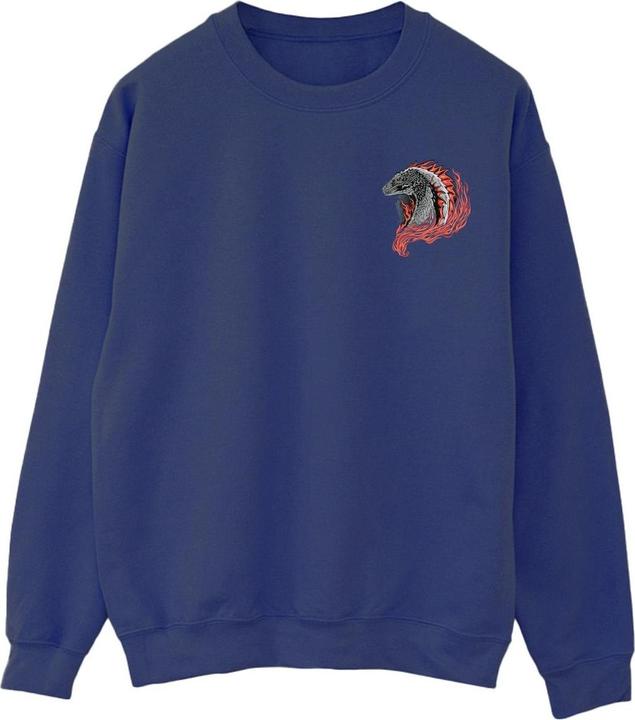 Actual product image Game of Thrones Mens Red Dragon Pocket Sweatshirt (4XL)