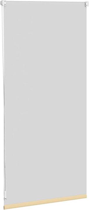 Actual product image vidaXL Rollo (40 x 100 cm)