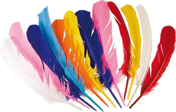 Produktbild Boland Indianer Federn
