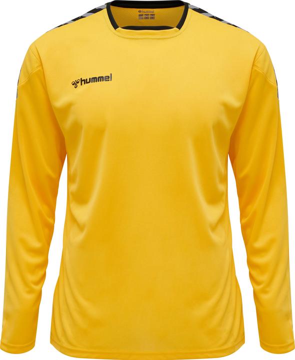 Actual product image hummel Authentic Poly Jersey L/S (M)