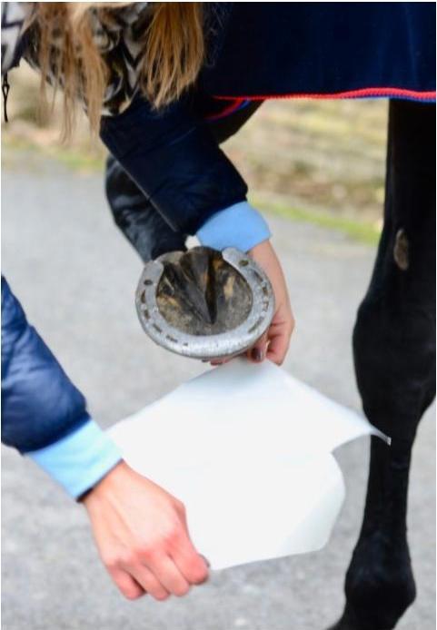 Actual product image Kentucky Horsewear Sole Tape