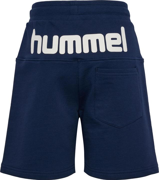 Image du produit hummel Hmlflow Shorts (134)