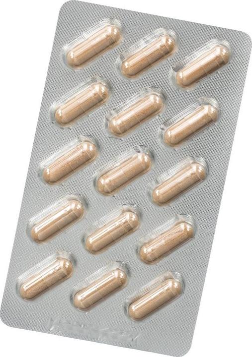 Immagine prodotto Salus Neuro Balance Ashwagandha (30 Pezzo/i, Pillole, 32 g)