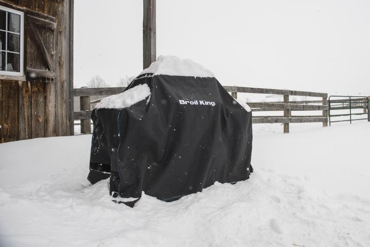 Actual product image Broil King Protective cover
