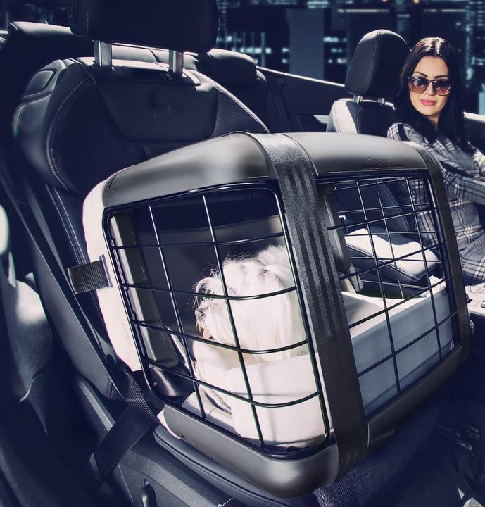 Actual product image 4pets Car Caree (Dog, Lockable)