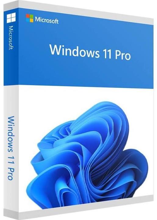 Immagine prodotto Microsoft Windows 11 Pro (1 Utente, Senza limiti)