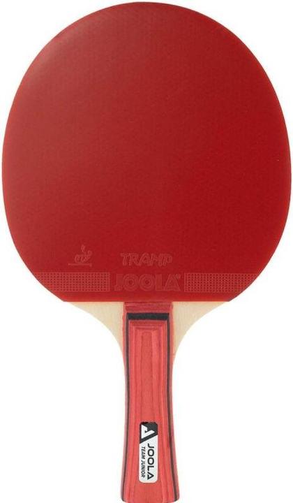 Actual product image Joola Junior-Team-Table-Tennis-Sample