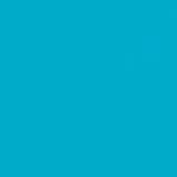 Immagine prodotto Talens Vernice opaca Ecoline (Blu Turchese, 30 ml)