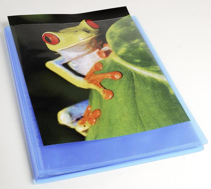 Actual product image Exacompta Display folder Kreacover Chromaline (A4, 1 x)