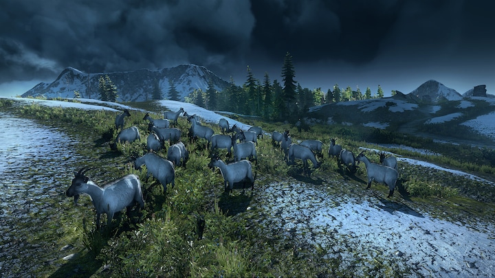 Immagine prodotto The Witcher 3 : Wild Hunt