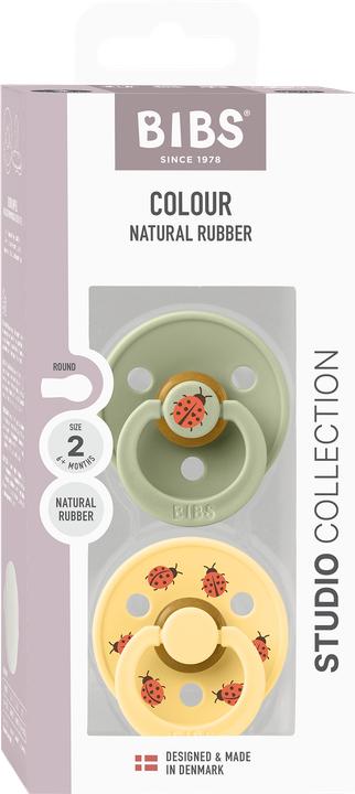 Produktbild Bibs - Pacifier Studio Colour 2 PACK Ladybug Latex - Sage - Size 2 (2x, 6 - 12 Monate)