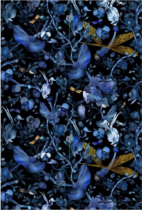 Bleu/Noir