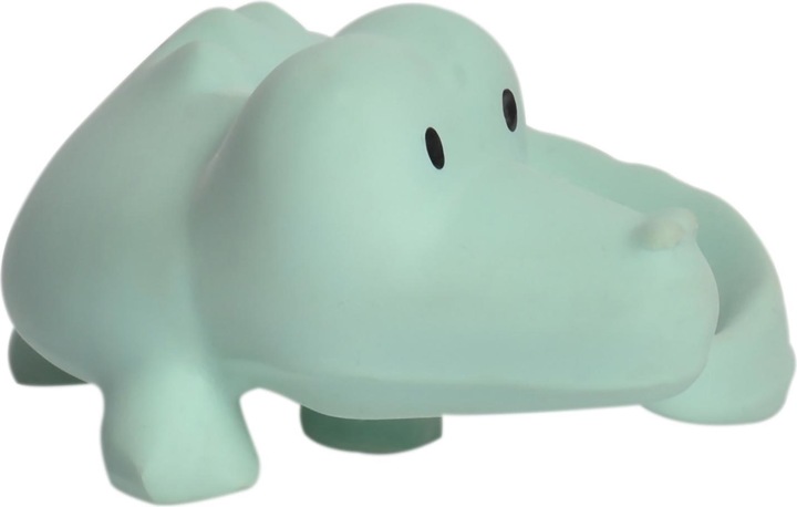 Actual product image Tikiri bijt- en badspeeltje crocodile