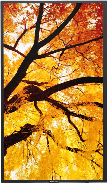 Immagine prodotto NEC Sharp Large Format Display M862 (3840 x 2160 pixel, 86")