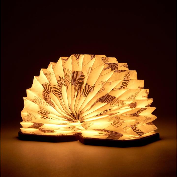 Actual product image Gingko Velvet Accordion Lamp (450 lm)
