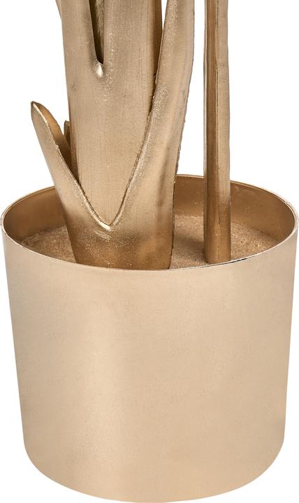 Produktbild Beliani Banana Tree (162 cm)