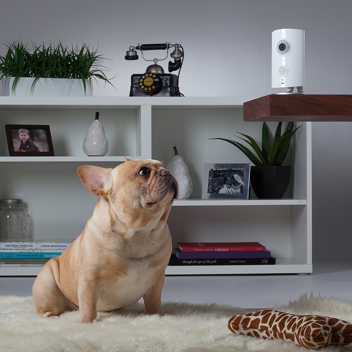Produktbild Piper NV NightVision, Smart-Home-Kamera (weiss) (1920 x 1080 Pixels)